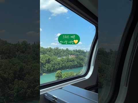 스위스 베른 반나절 여행🇨🇭 기대없이 갔는데 너무 예쁘자나 #베른#스위스여행#bern