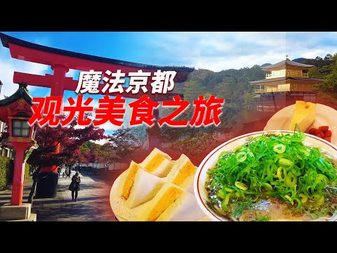 充满京都魅力！ 享受观光景点和美食的终极旅行。 享受美味佳肴和历史景点的奢华时光。