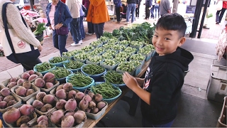 From the Field to the Farmers Market