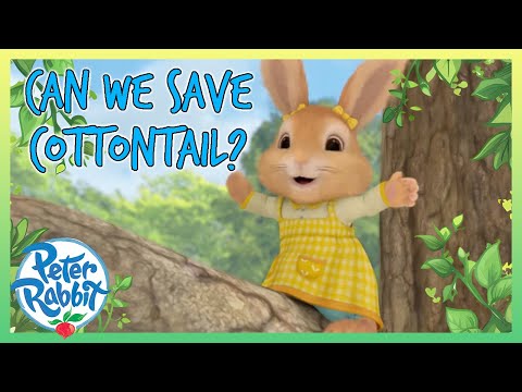 @OfficialPeterRabbit - 🥺🐰 Can We Save Cottontail! 🐰🥺 | Best Bits! | Cartoon for Kids