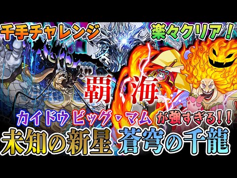 【千手チャレンジ】簡単パズルで覇海！ビッグマム×カイドウで『未知の新星 蒼穹の千龍』を楽々攻略！