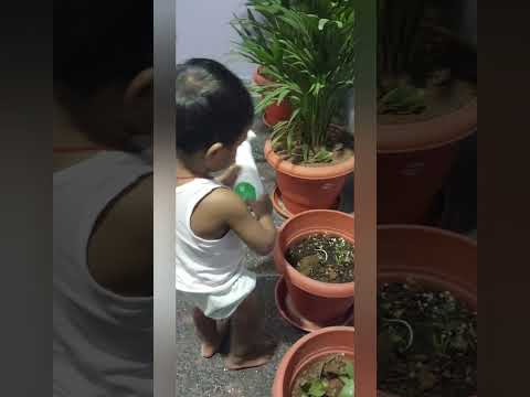 Ila cheyali watering😃 | Gardening | watering to plants🪴