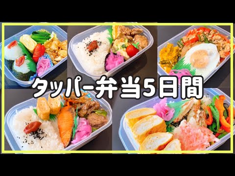 【タッパー弁当5日間】1週間のお弁当作り/旦那弁当