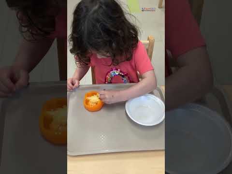 Tweezing Bell Pepper - Montessori Fine Motor Skills