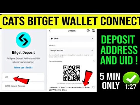 How to connect cats wallet with bitget