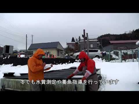 養魚場巡回指導　NA04【内水面研究所】