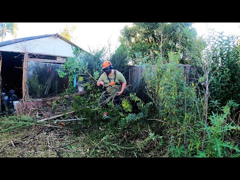 90 Yr Old LADY Who Faces EVICTION was SHOCKED and EMOTIONAL That I Mowed Her OVERGROWN Lawn For FREE