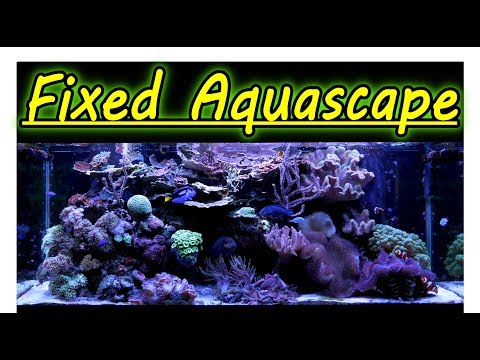 Fixing The Aquascape On The 210 Reef