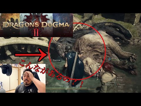 めっちゃくっちゃ暑いバトルだった‼️| ドラゴンズドグマ 2「Dragon's Dogma 2」