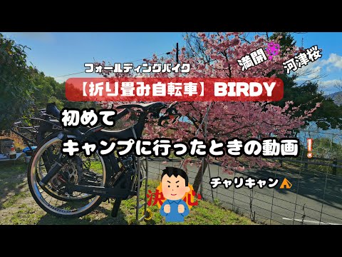 はじめてBirdyでキャンプに行ったときの動画❗【折り畳み自転車】お花見キャンプ🌸