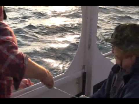 Halibut sportfishing with spinning gear In Newfoundland