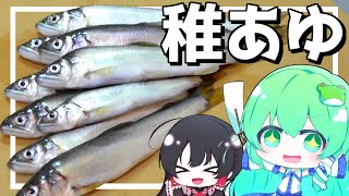 【ゆっくり料理】早苗は稚鮎を使っておつまみコンフィを作る！【ゆっくり実況】【さなミラ】【おつまみ】