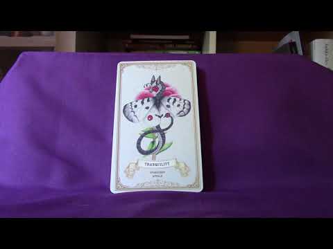 Enchanted Blossoms Oracle Full Flip Through