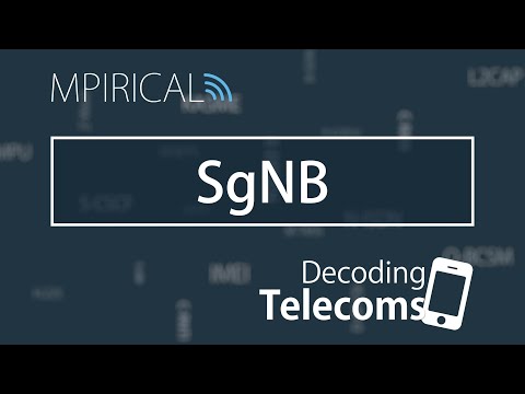 SgNB - Decoding Telecoms