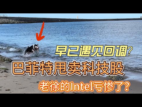 巴菲特甩卖科技股，老徐的Intel亏惨了？#价值投资 #美股投资​ #中国股市 #投资策略​ #美股​ #A股 #港股