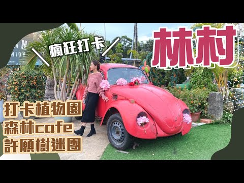 【大埔】林村散策：🌵隱世植物園Bontanic Union逛小型花市🌳林村許願樹之迷！網紅推介森林Cafe質素係點？大埔遊｜香港好去處｜大埔景點｜打卡熱點｜假日好去處｜情侶拍拖路線｜香港深度遊