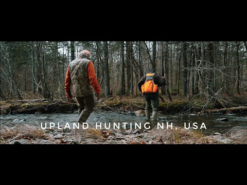 Grouse Hunting - New Hampshire 2024 - Lopstick Outfitters