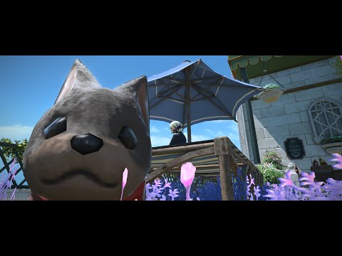 【FF14】木人討滅戦 極ヴァリガルマンダ級 ４秒残【吟遊詩人 平均IL691 飯薬無】