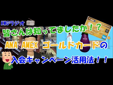 皆さんは知ってましたか！？ANA AMEX ゴールドカードの入会キャンペーン活用法！！