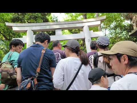 5月26日、愛する、渋谷区立笹塚中学校に送る、笹塚が好き、笹中が好き、代々木八幡金魚まつり