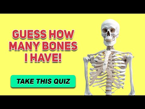 How Many Bones Are in The Human Body Quiz - Skeletal System Anatomy