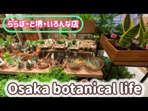 🍃Osaka botanical life🍃ららぽーと堺・いろんな店に行ってきました♥