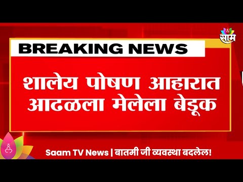 Dharashiv News | संतापजनक! शालेय पोषण आहारात आढळलं चक्क तळलेलं बेडूक!