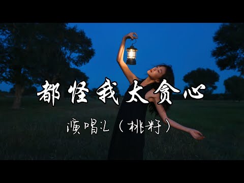 L（桃籽） - 都怪我太贪心『你的态度太明显 是我太笨也拎不清，想和你有结局 没看清自己。』『动态歌词MV』