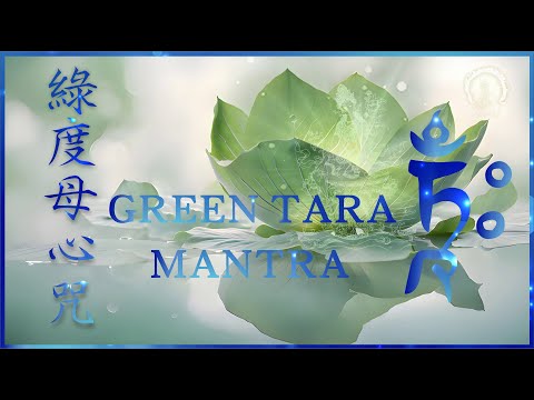 GREEN TARA MANTRA: Cleanse ALL Negative Energy | 清新版〖綠度母心咒〗1080遍 ❤️好人緣 🙏 除障難❤️增福報 🙏 圓滿所願 🙏 大悲菩提寺 恭製