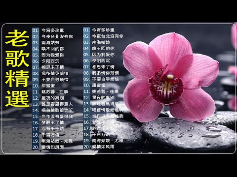 老歌经典 🎶一人一首成名曲 懷舊必聽 -老歌精選【尤雅 - 邓丽君 - 青山 - 姚苏蓉 - 劉家昌 】👍 今宵多珍重 - 尤雅 /  今夜台北沒有你 - 青山 / 我多情你薄情 / 不要自寻烦恼