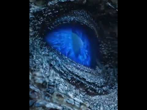 Game of throuns : dragon dide whatsapp status