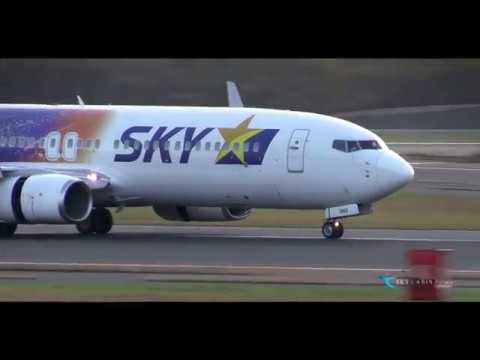 " スカイマークエアラインズ就航20周年記念特別塗装機「星空ジェット」" Skymark Airlines(SKY) Boeing737-800 JA73NQ