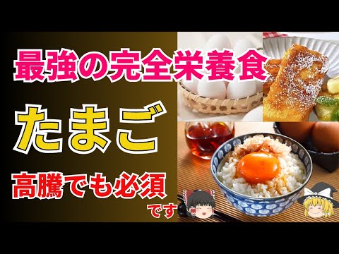 最強の完全栄養食たまごは驚きの栄養バランス！卵かけご飯の歴史