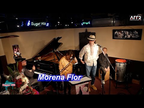 サンバの名曲！Morena Flor／Live@Sugar Hill （シュガーヒル）