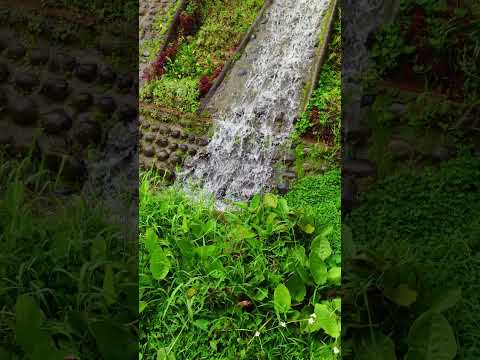 Is The Auto & Slo Mo Video Quality On The Sony Xperia PRO-I Any Good?? #8