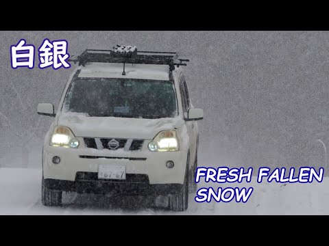 白銀　雪道ドライブ【fresh fallen snow. snowy road drive】