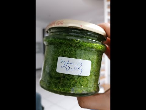 Basil Pesto Recipe #shorts