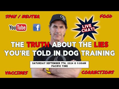 The TRUTH about the LIES in DOG TRAINING