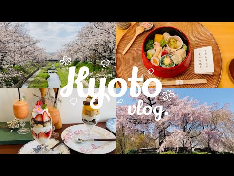 京都愛が止まらない春🌸安定の大満喫vlog