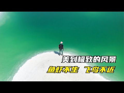 青海大柴旦翡翠湖，这里什么都没有，只有纯粹的美到极致的风景【背包走遍中国】