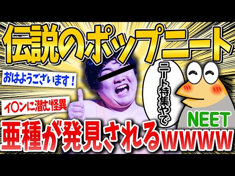 【ニート総集編】伝説のポップニートの亜種発見されるｗ【2ch面白いスレ】【ゆっくり解説】