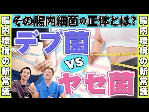 デブ菌 vs. ヤセ菌！その真実、知ってますか？　実は日本人はデブ菌だらけ⁉ ヤセ菌の最新研究まとめ　No.474