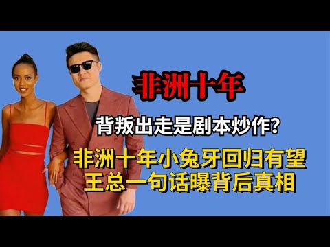 背叛出走是剧本炒作？非洲十年小兔牙回归有望，王总一句话曝真相