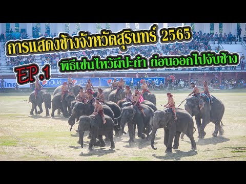 การแสดงช้างจังหวัดสุรินทร์ 2565 EP.1 พิธีไหว้ผีปะกำ ก่อนออกไปจับช้างป่า