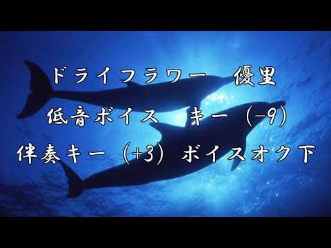 【低音ボイス】ドライフラワー　優里　歌ってみた ver.イルカ師