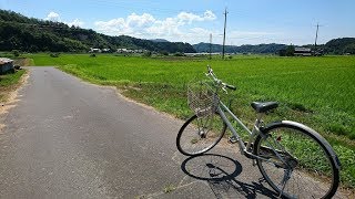 夏の田舎の風景