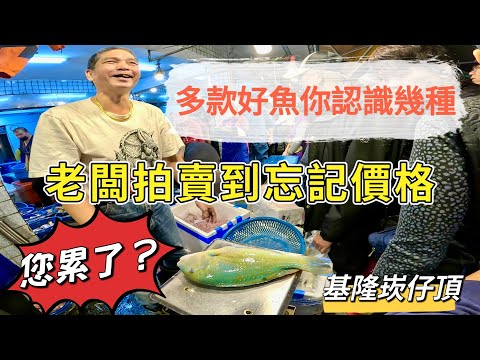 基隆崁仔頂～多款好魚你認識幾種？老闆您累了嗎～賣到忘記價格～赤翅仔、石鯛、紅綠石老、石斑、鮸魚、龍占、嘉志、魟魚、金花、黃雞魚、厚殼仔、青衣～深夜糶手拍賣113/12/7(凌晨兩點半）