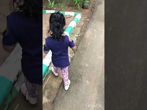 Glimpse of IndiraGandhi zoo park#video #shortsyoutube#shortvideos #zooanimals #zoo #animals #zoopark