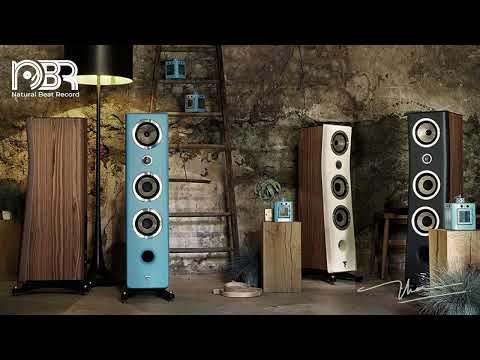 Hi End Sound Test Speaker - Hi-Res Music 32 bit - Natural Beat Records