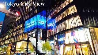 [4K 60] 東急プラザ銀座の全貌＆光り輝く銀座の街並み | Ginza streets and Tokyu Plaza GINZA, Tokyo, Japan